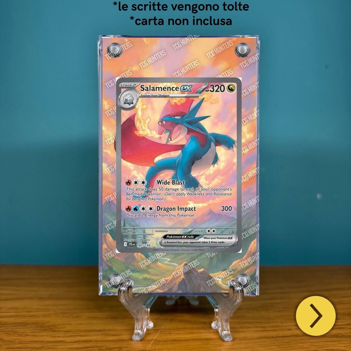 Pokémon Teca Magnetica Acrilico Extended Art - Salamence 187 | Display Case1