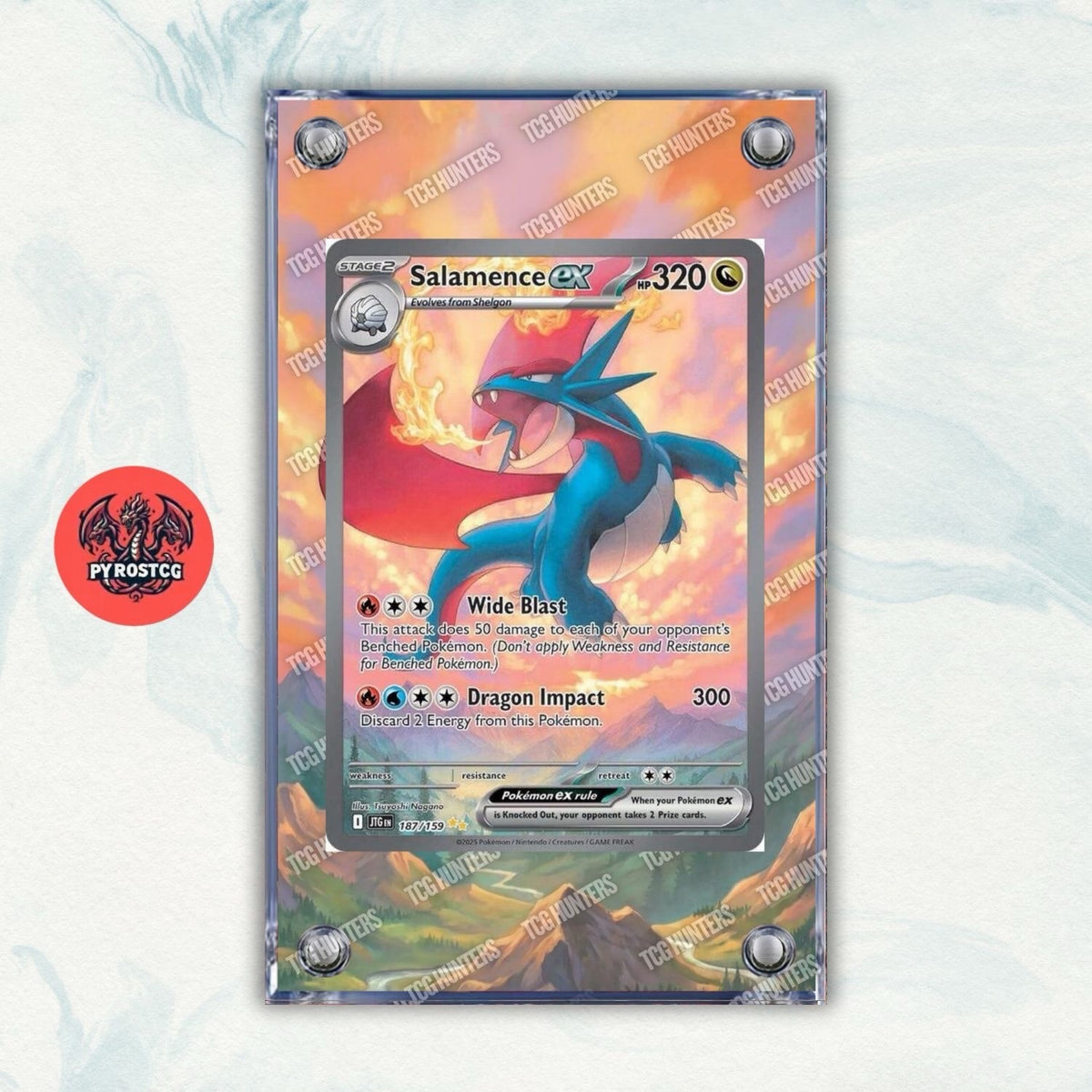 Pokémon Teca Magnetica Acrilico Extended Art - Salamence 187 | Display Case0